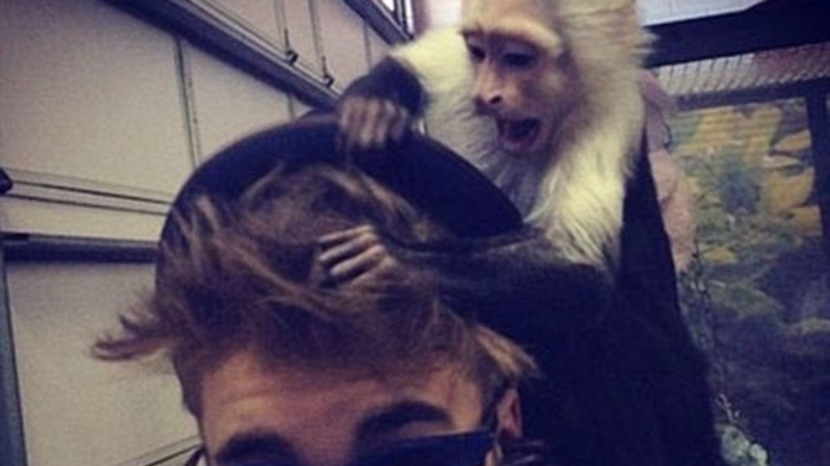Justin Bieber, con su mono capuchino. Foto: Instagram