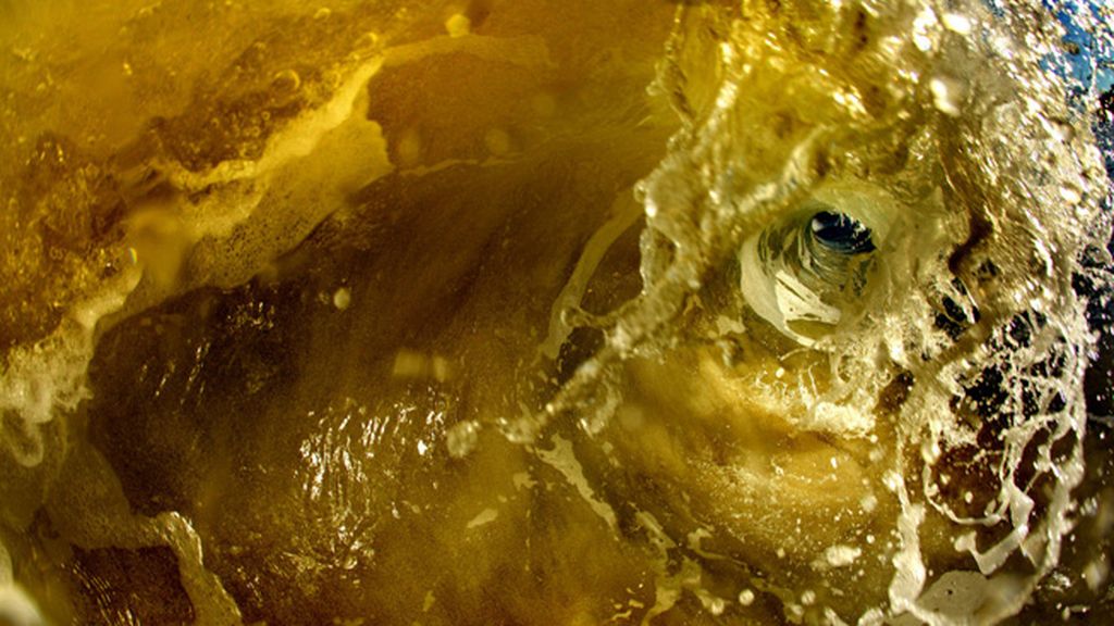 Un espectáculo de burbujas y colores