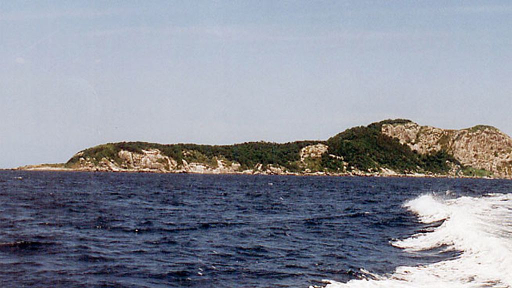 La Isla de Queimada Grande o Isla Serpiente