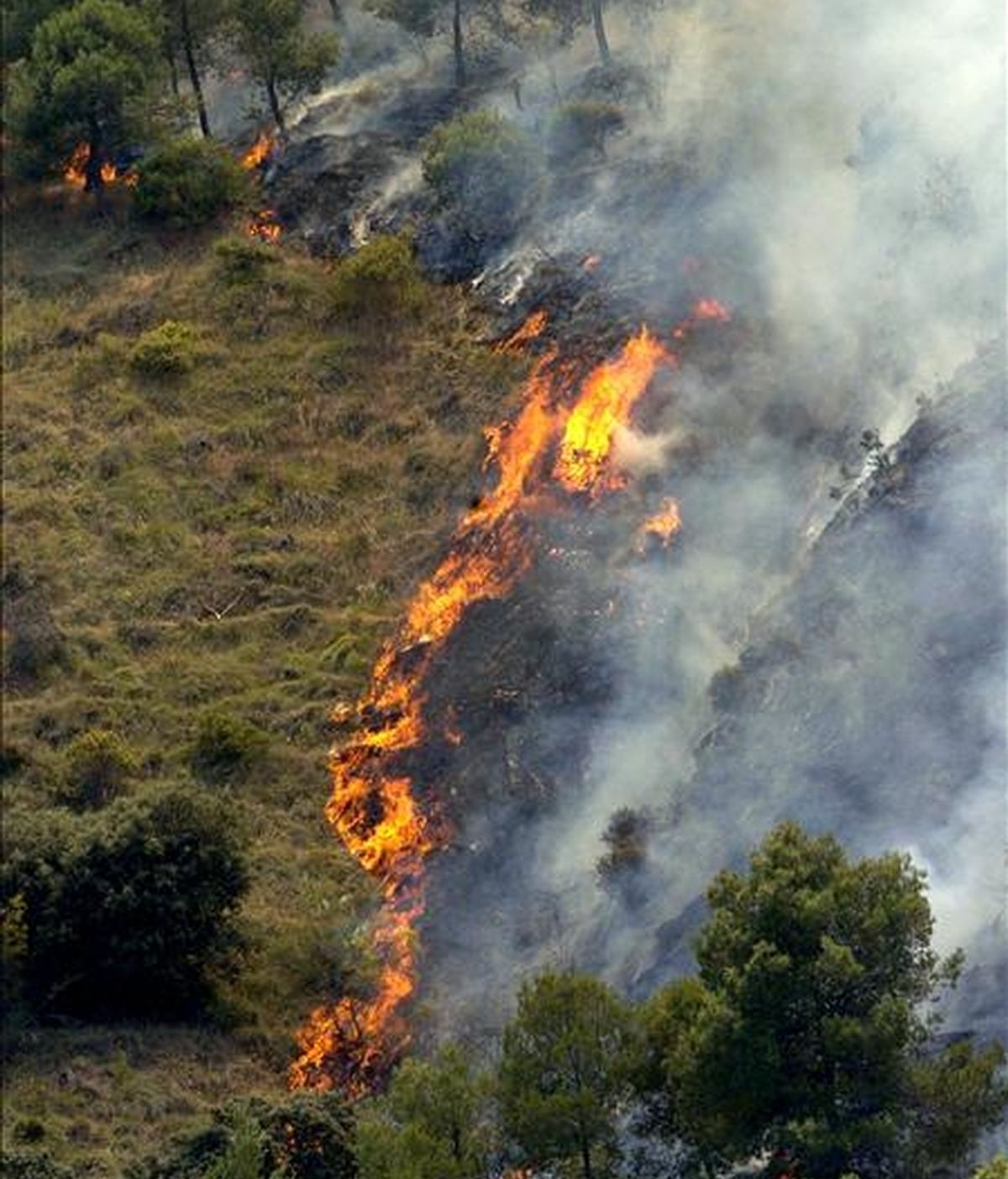 Un incendio forestal ocurrido días pasados en Granada. EFE