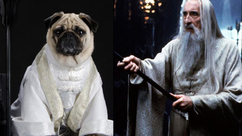 Pugs Carlinos disfrazados