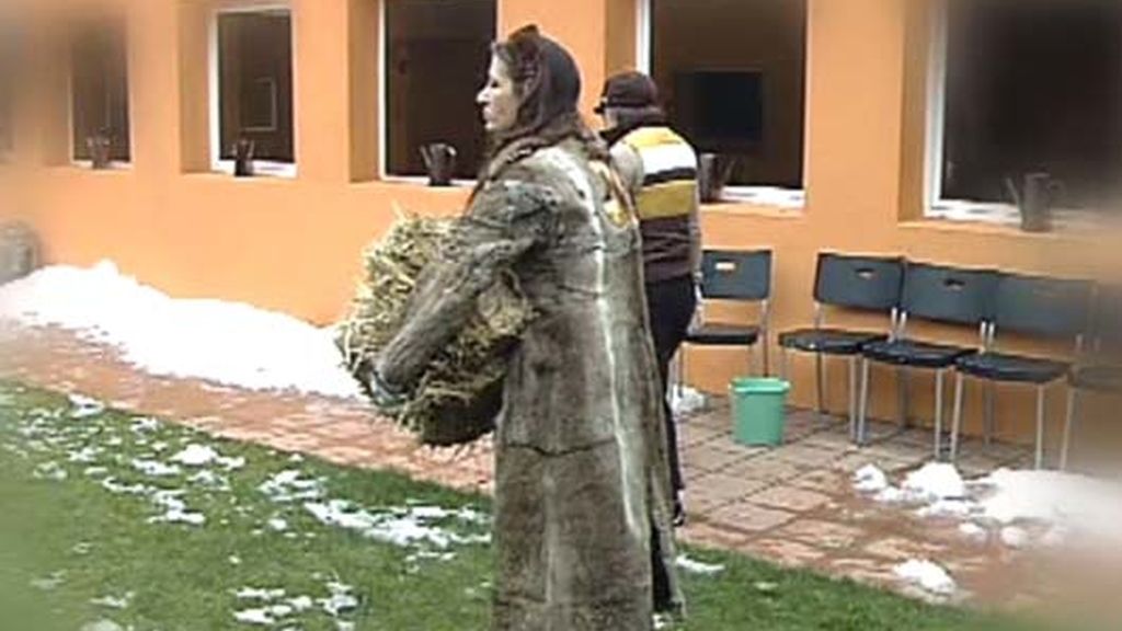 Eva, Ana, Gema y sus ovejitas