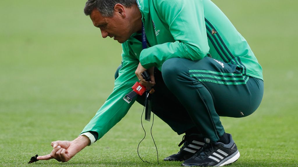 Collina y Deschamps, 'atacados' por los insectos