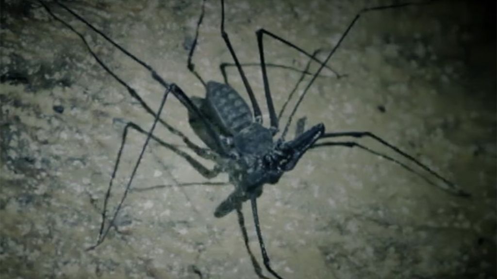 Las mejores imágenes del programa