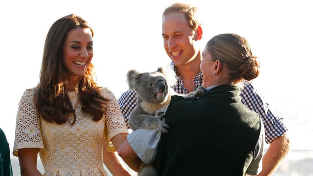 El príncipe George disfruta en el zoo de Sídney
