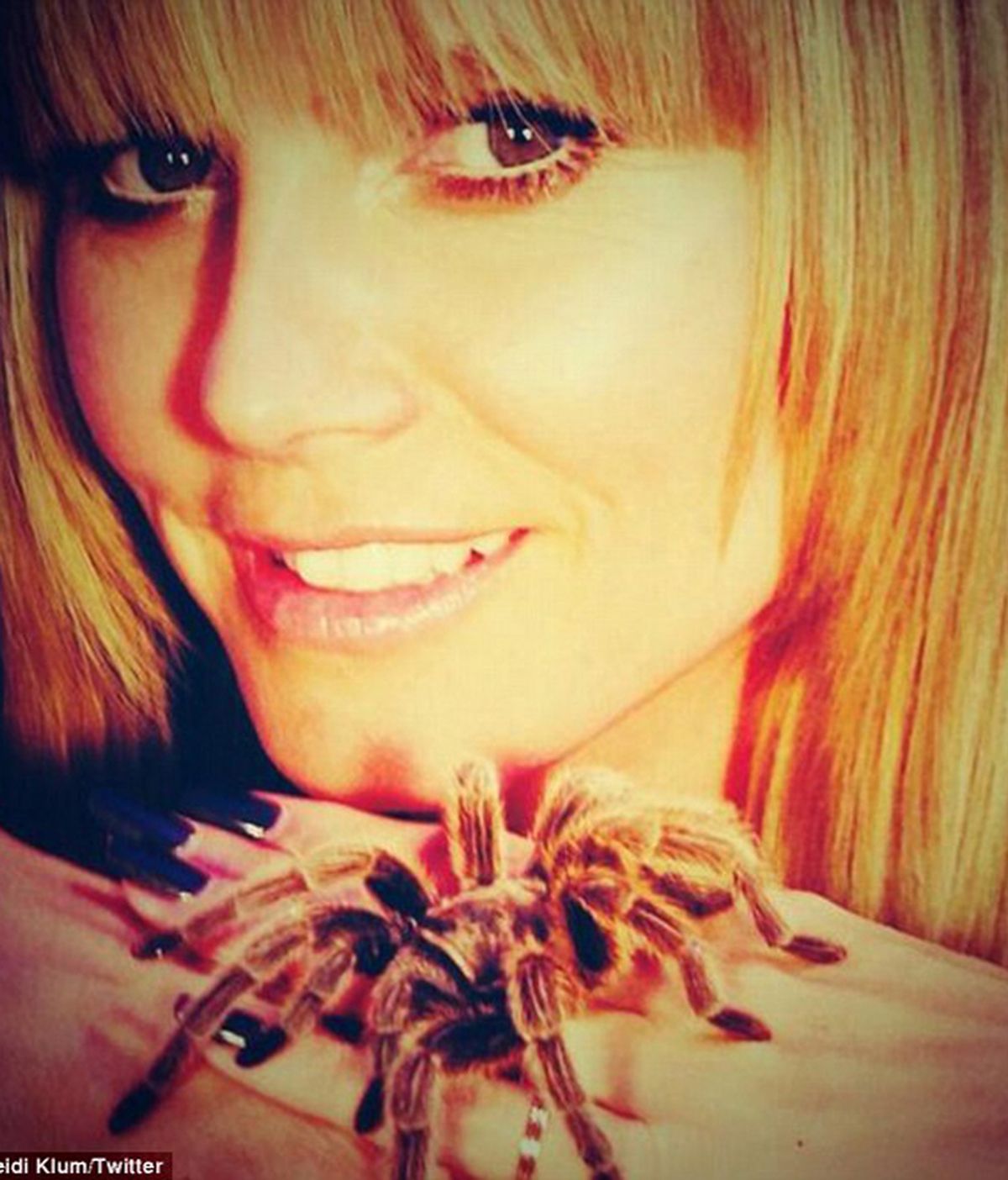 A Heidi Klum no le asustan las arañas