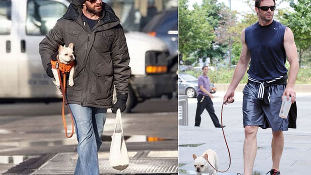 Hugh Jackman, entre perro y lobo