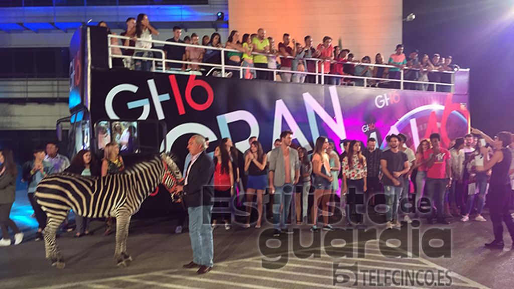 GH16, el making of de la flash movie