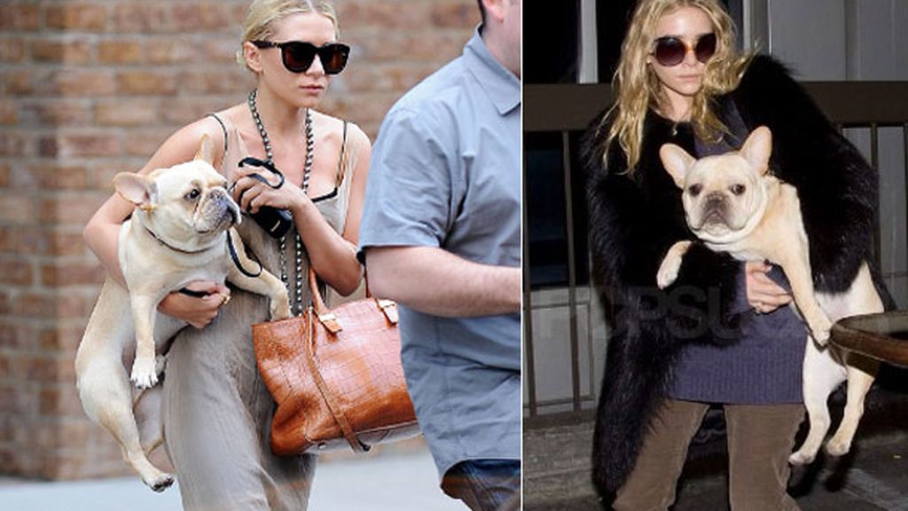 Ashley Olsen, no sin su ‘frenchie’