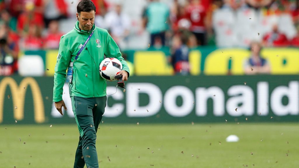 Collina y Deschamps, 'atacados' por los insectos