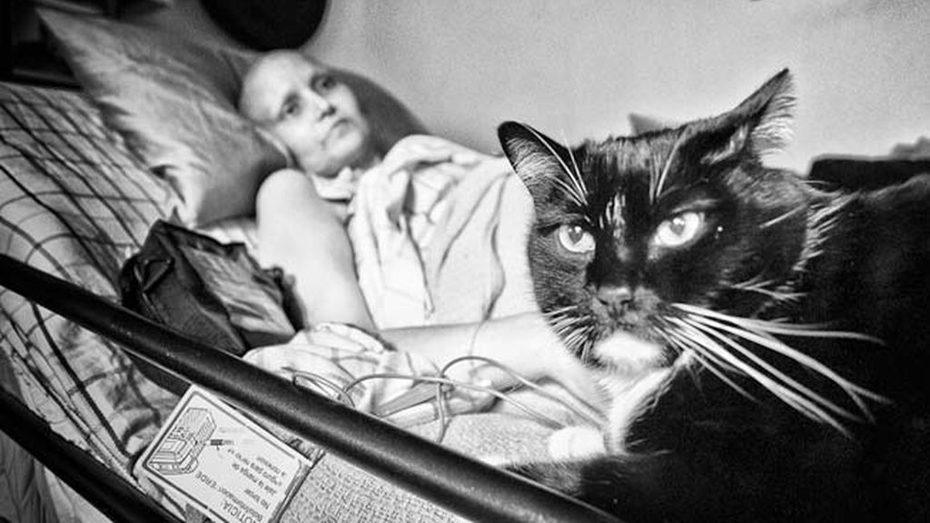 Una batalla que no eligieron