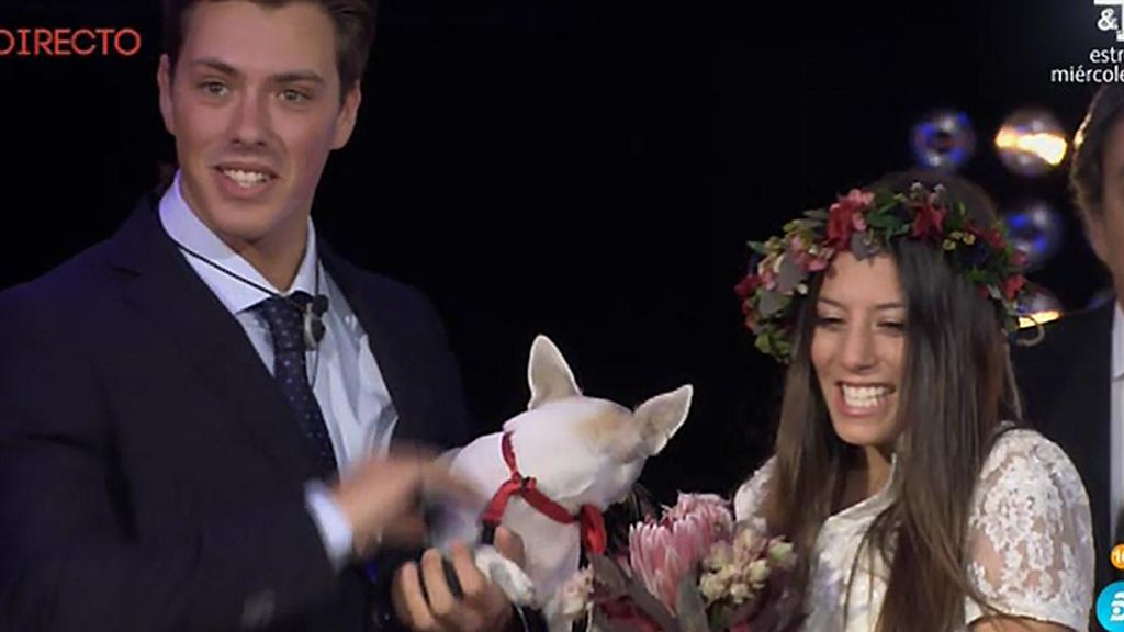 La boda de Carlos e Ivy, en imágenes