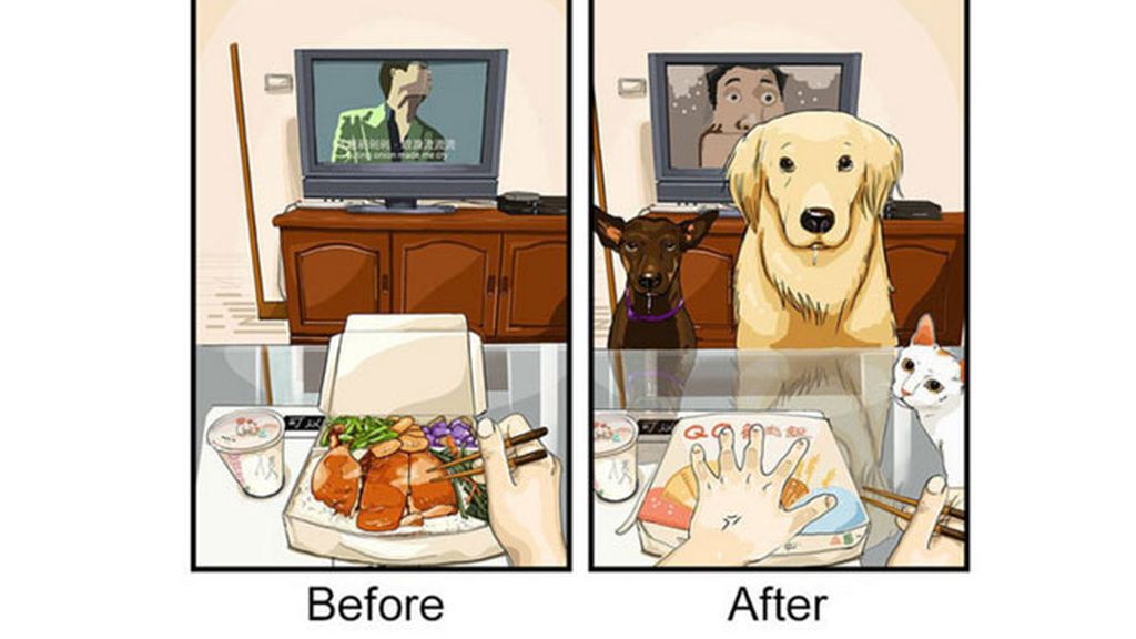 Cómo tener un perro te cambia la vida