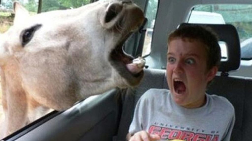 Esto no se le hace a un hijo