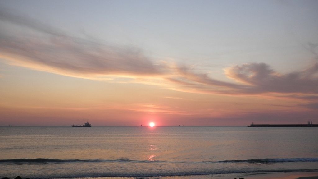 Concursantes Efecto ¡GUAU!... de tu vida