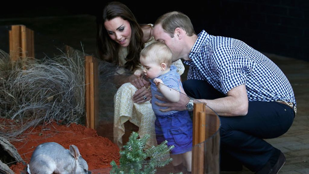 Su primera visita al zoo, en Sidney