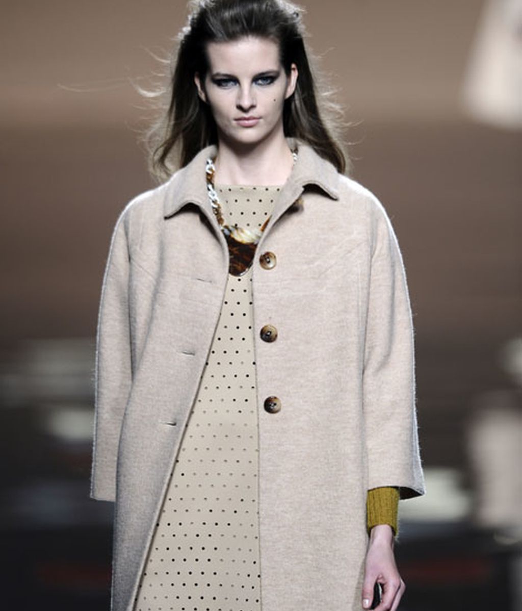 Ailanto: flores y mariposas en otoño