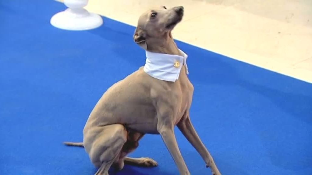 Algunos solteros han encontrado a su media naranja