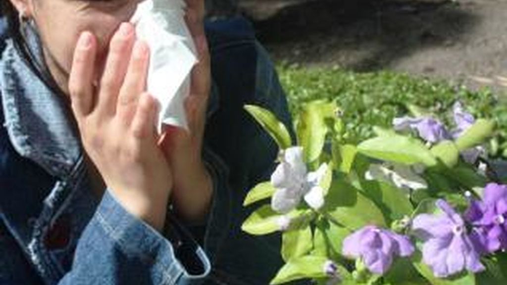 Alergia al polen