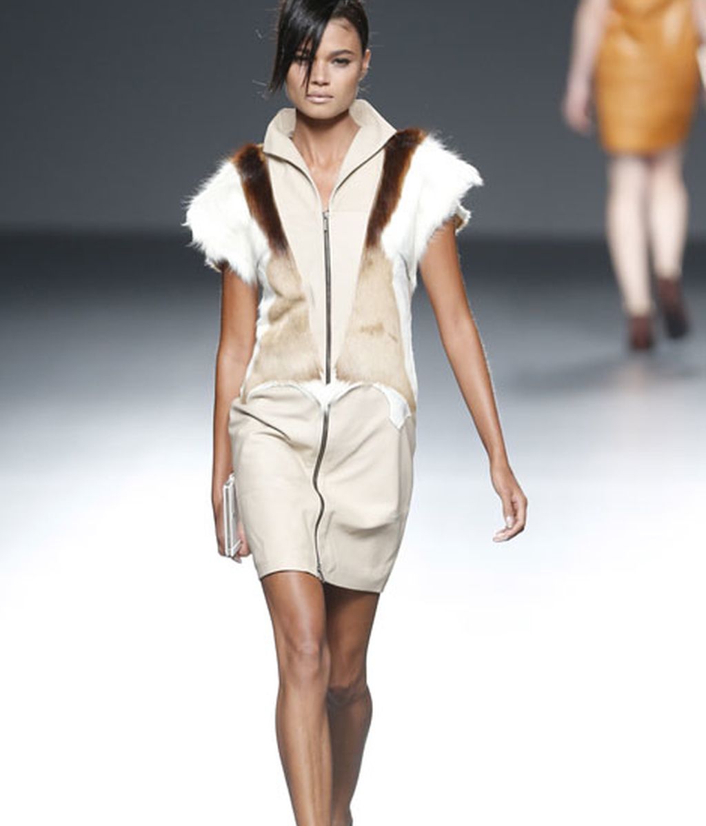 Rojos brillantes y colores de la tierra