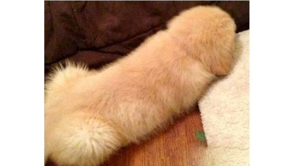 Miras y miras, pero nada es lo que parece