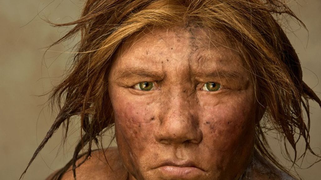 humano, hombre primitivo, neandertal, neanderthal humano, hombre primitivo, neandertal, neanderthal