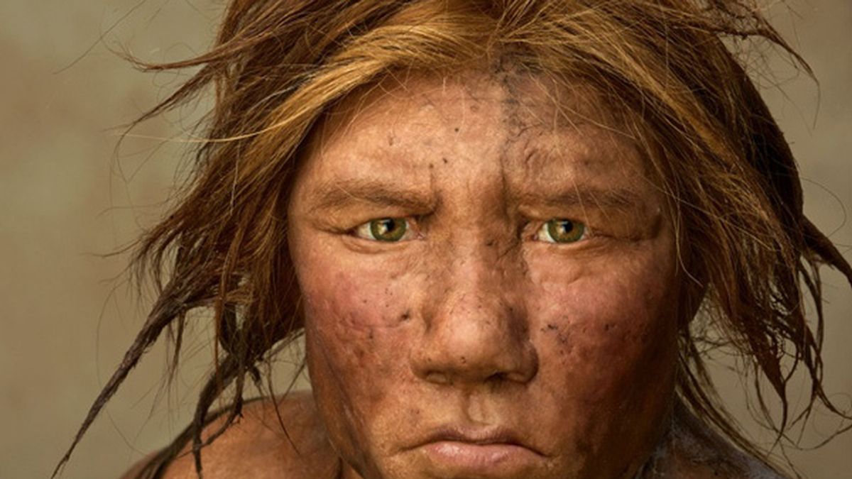humano, hombre primitivo, neandertal, neanderthal