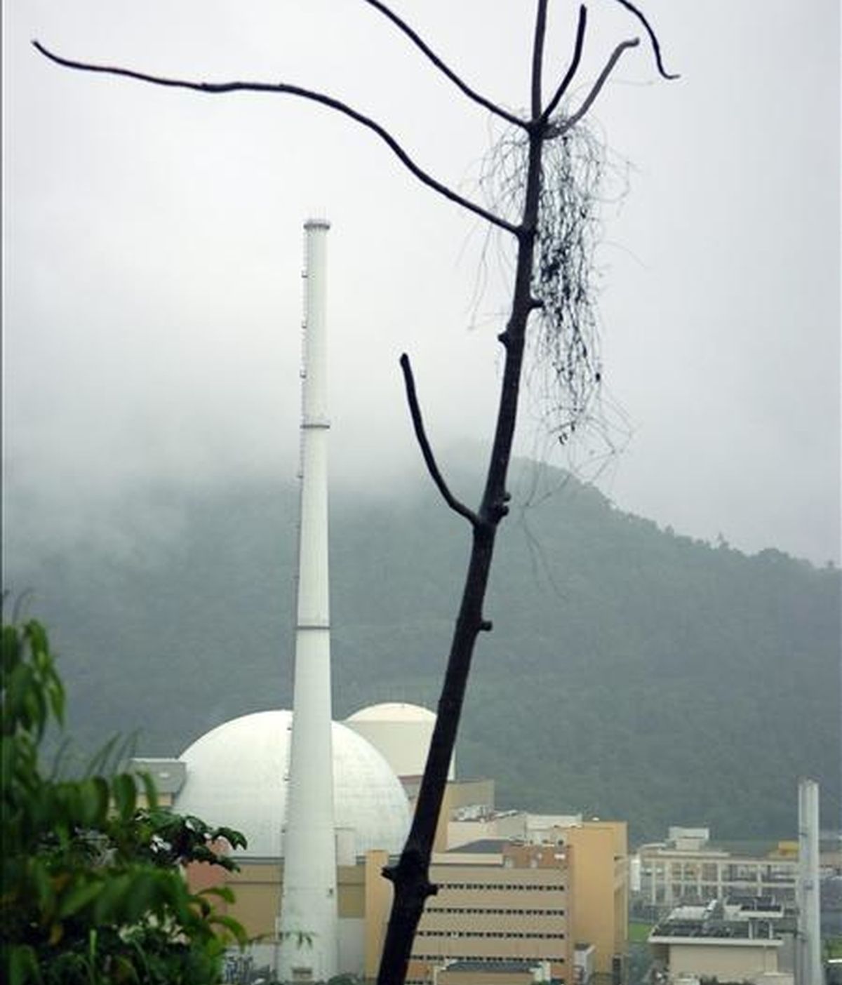 Imagen de la central nuclear de Angra II en Río de Janeiro (Brasil). EFE/Archivo