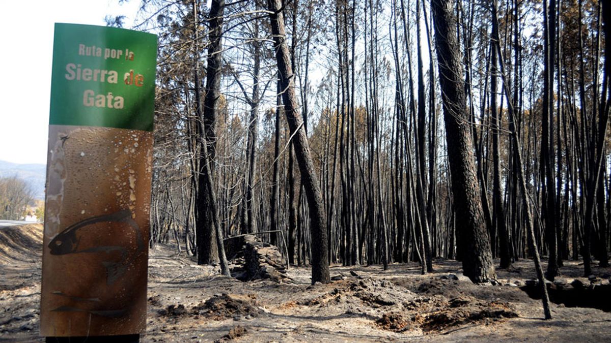 El incendio de la Sierra de Gata afecta a un gran número de espacios protegidos
