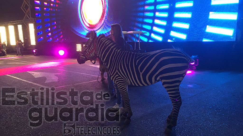 GH16, el making of de la flash movie