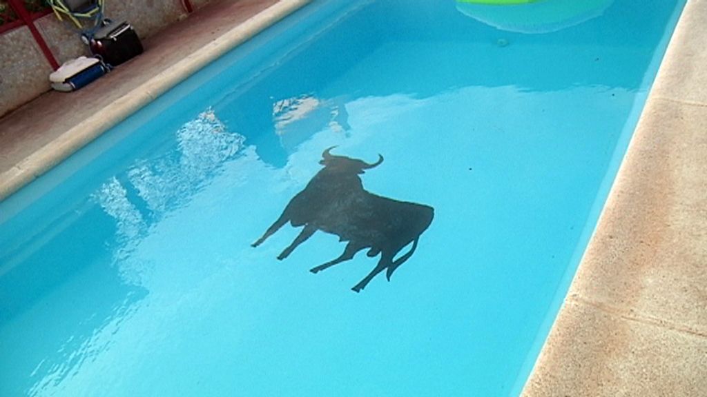 Callejeros: Las Castillas. Mejores momentos