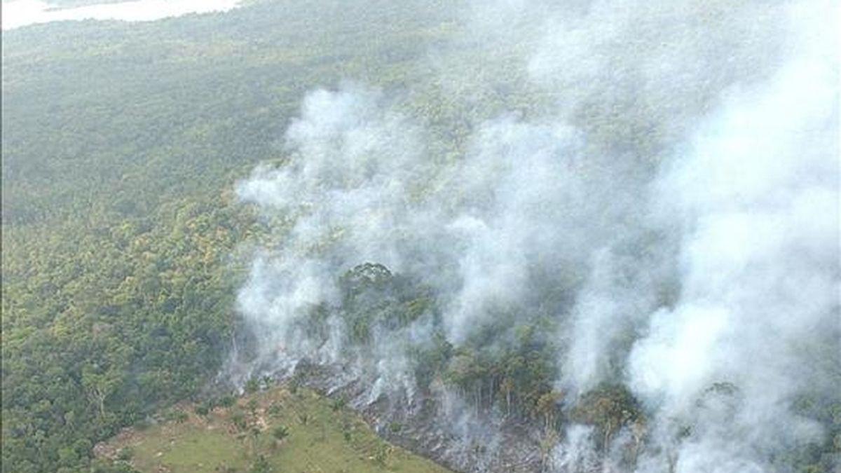 Según Imazon, el 42% de la Amazonía está protegida legalmente contra la deforestación por ser reserva ambiental, reserva indígena o unidad de conservación. EFE/Archivo