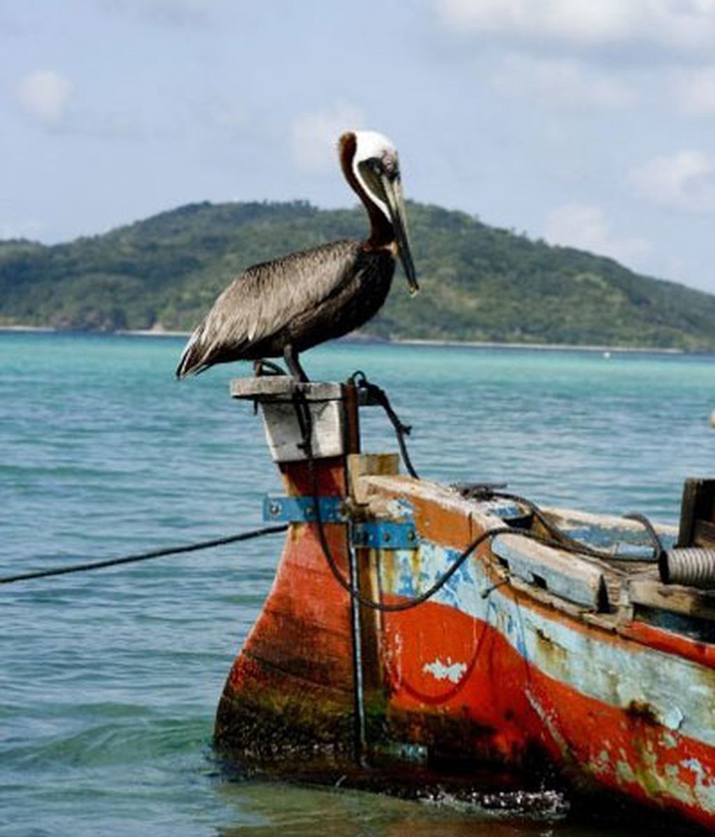 Honduras, por Mario Picazo