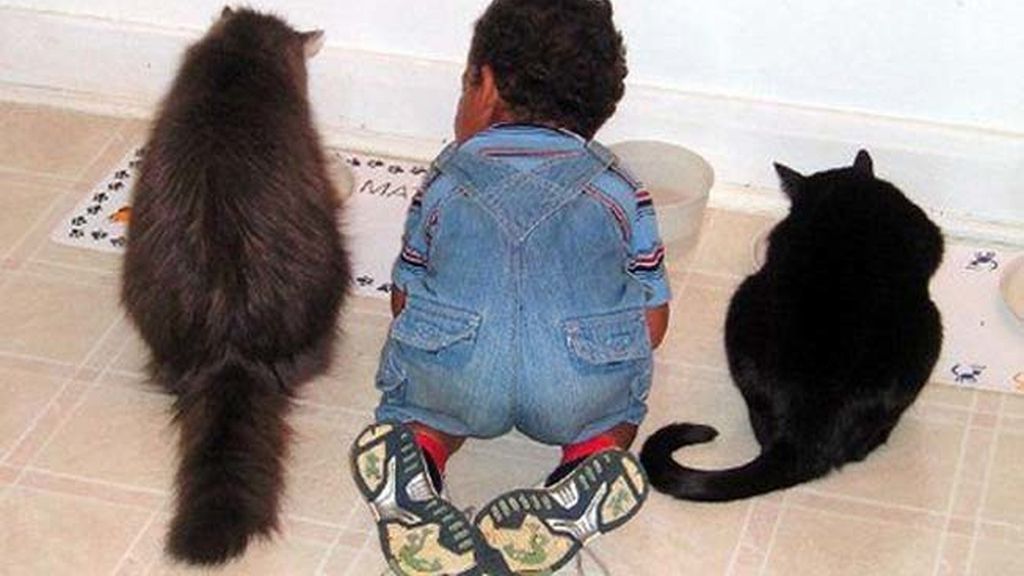 Compañeros para todo