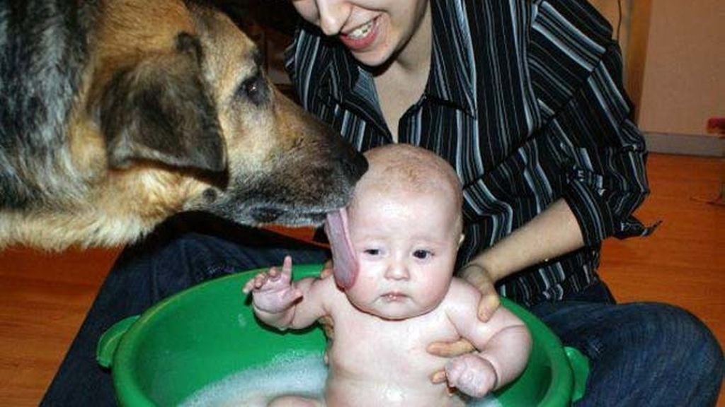 Compañeros para todo