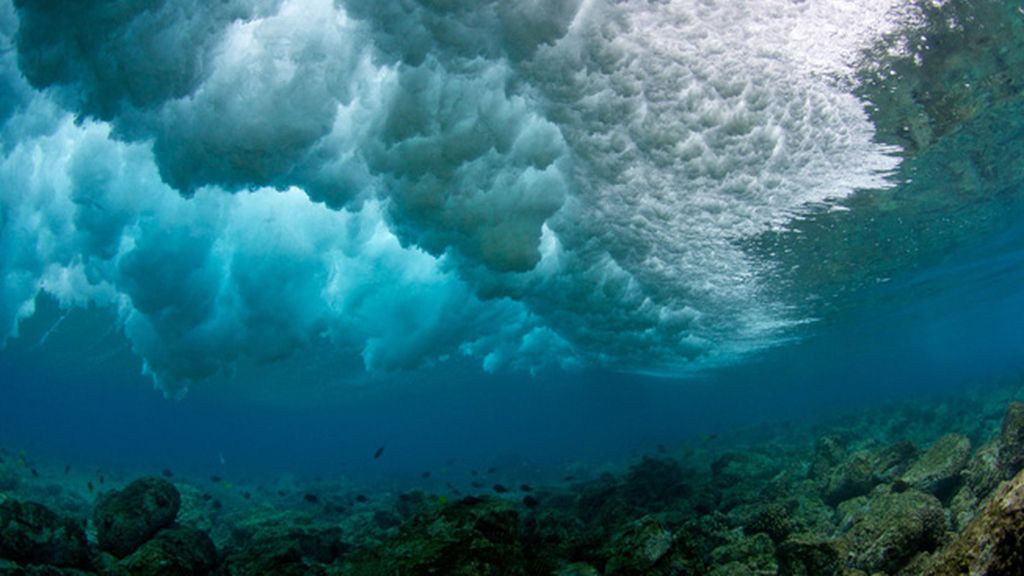 Un espectáculo de burbujas y colores