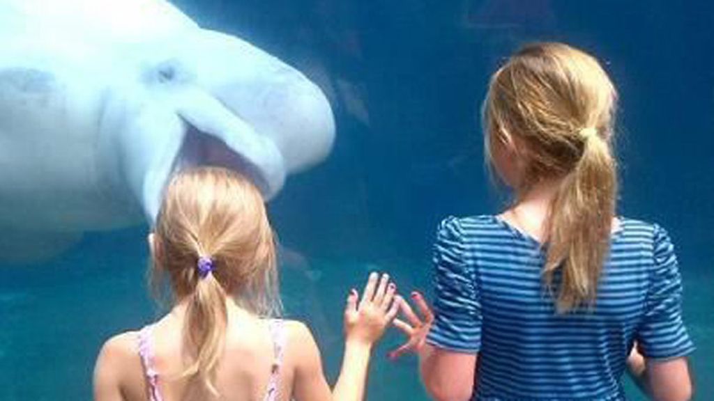 Miras y miras, pero nada es lo que parece