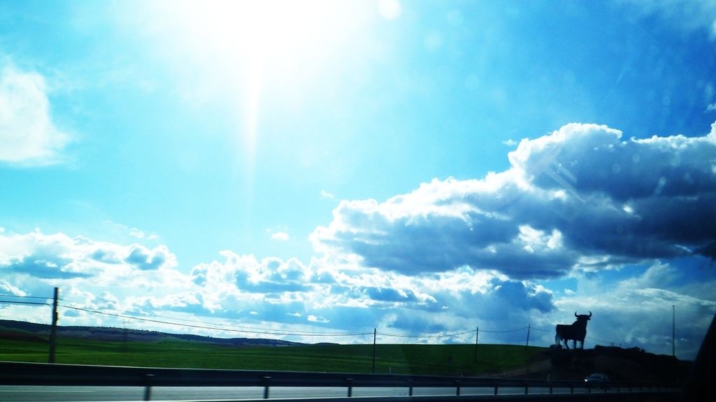 Concusantes Efecto ¡GUAU!... en vacaciones