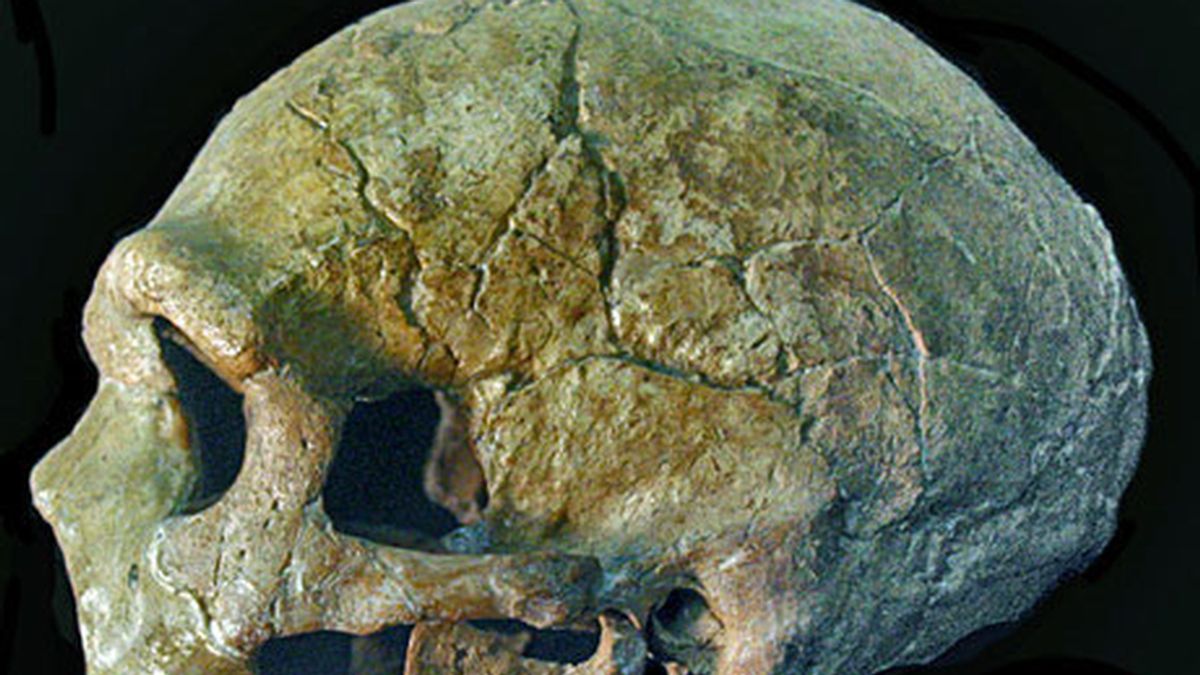 Investigadores resuelven el enigma sobre la extinción de los neandertales