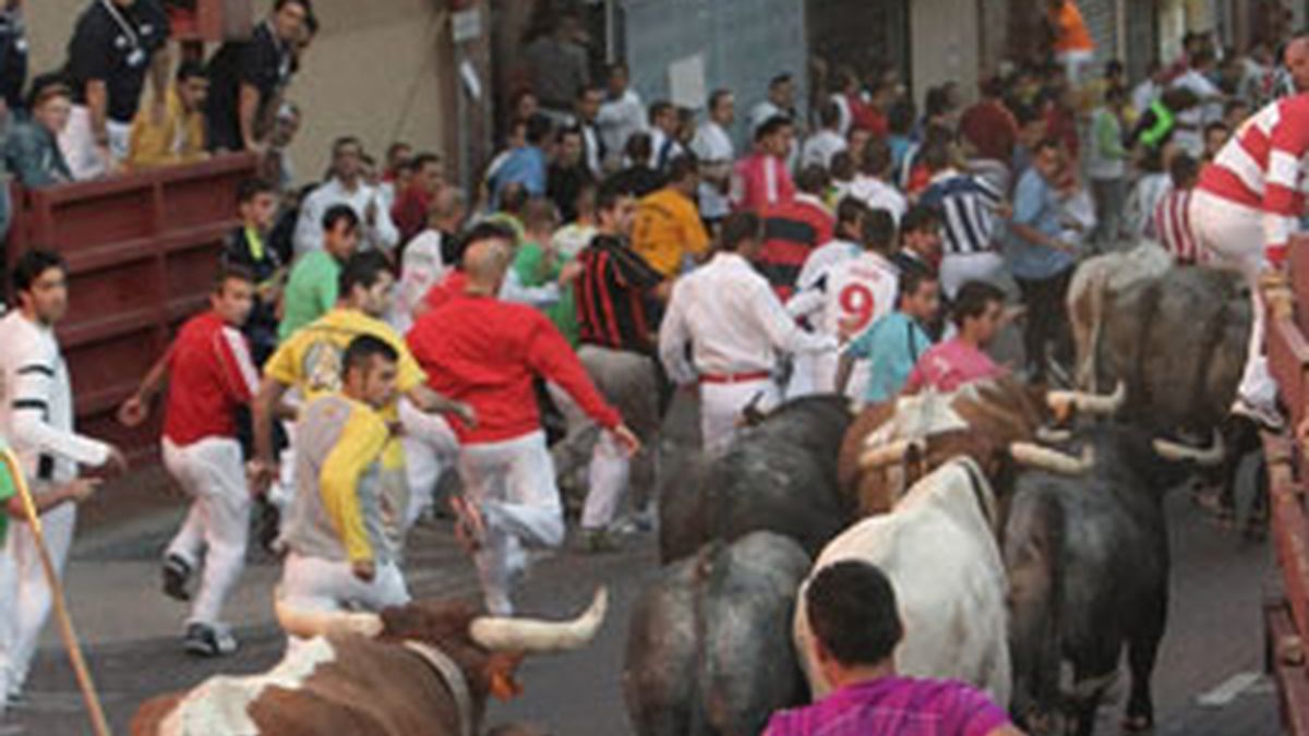 Varios mozos corren delante de los toros de la ganadería de Victorino Martín durante el segundo encierro de las fiestas patronales del madrileño municipio de San Sebastián de los Reyes. Foto: EFE