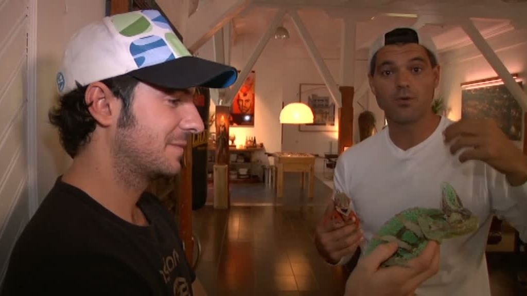 La selva en casa, Programa 4