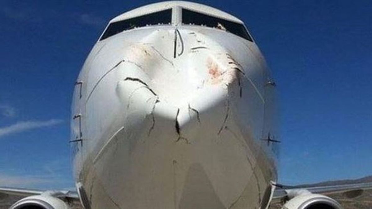 Una bandada de pájaros destroza el morro de un avión cuando se disponía a aterrizar