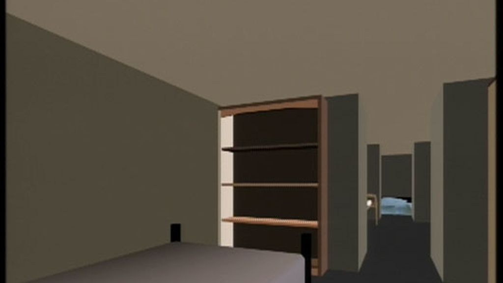 RECONSTRUCCIÓN DEL ZULO