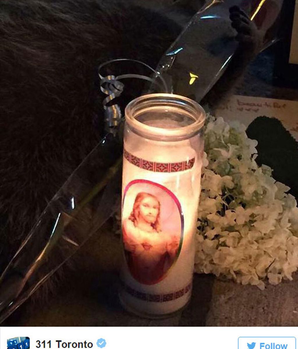 Toronto se vuelva con un animal muerto