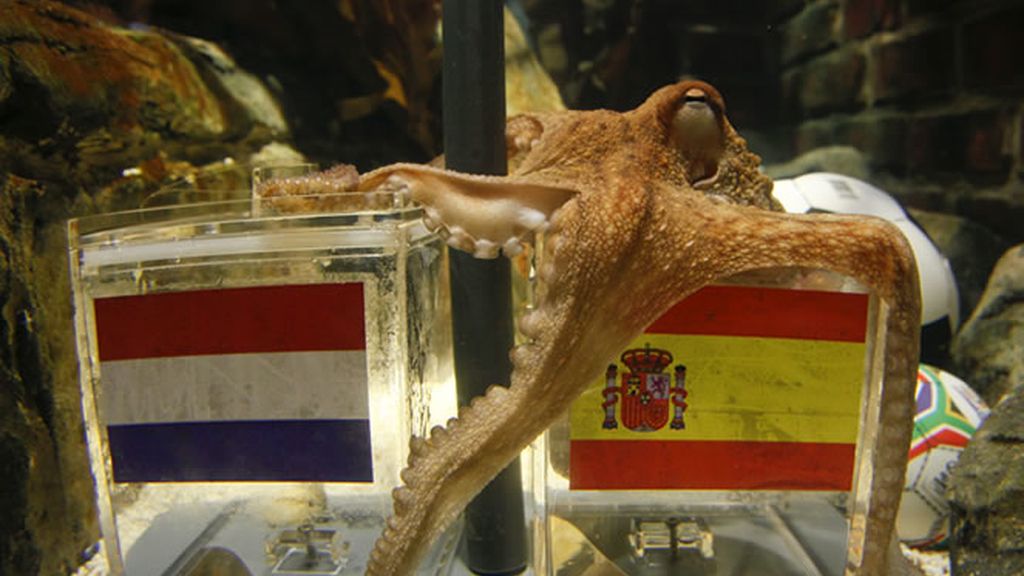 El pulpo Paul se comió el mejillón español