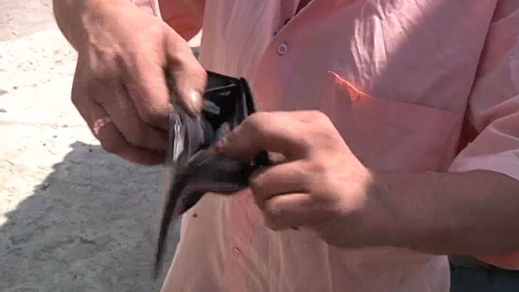 Callejeros se adentra en la barriada de 'San Lázaro'