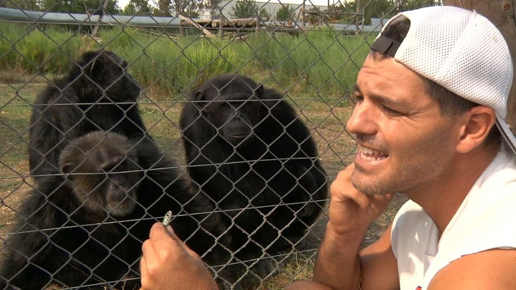 Frank Cuesta recorre España buscando selvas dentro de casas