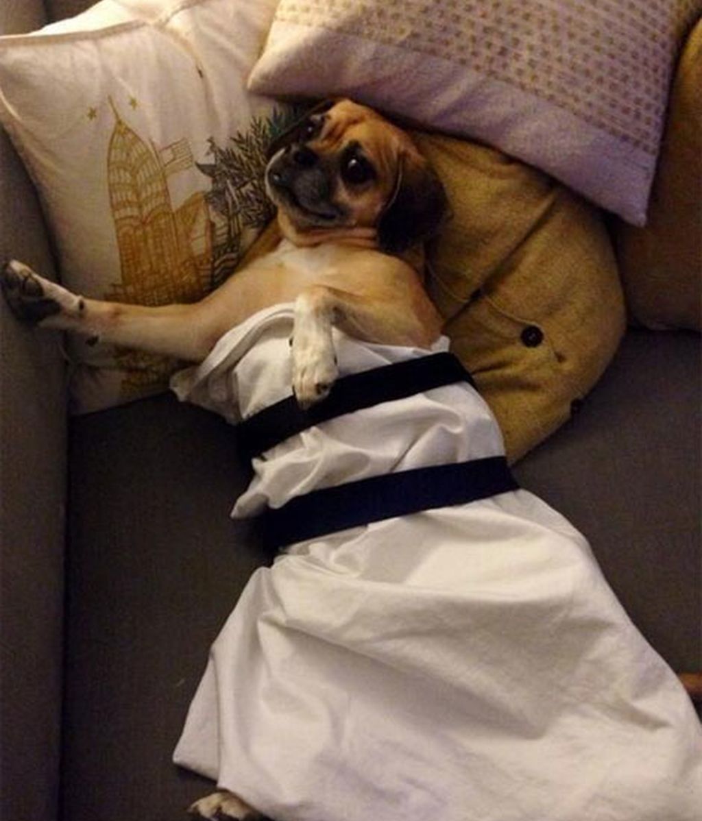 El vestido de Jennifer Lawrence causa furor en Twitter