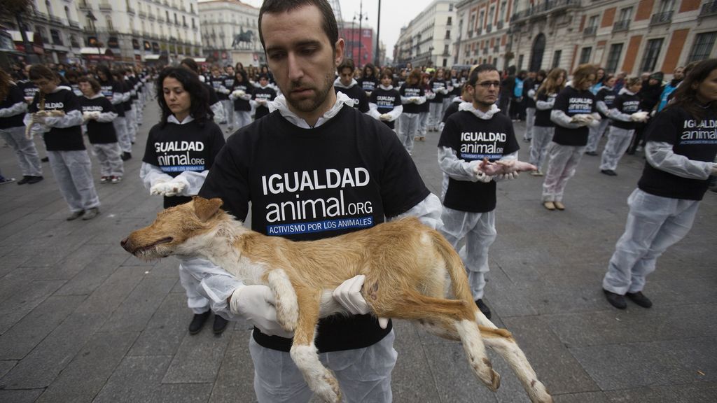 Protestas en pro de los animales en la Puerta del Sol