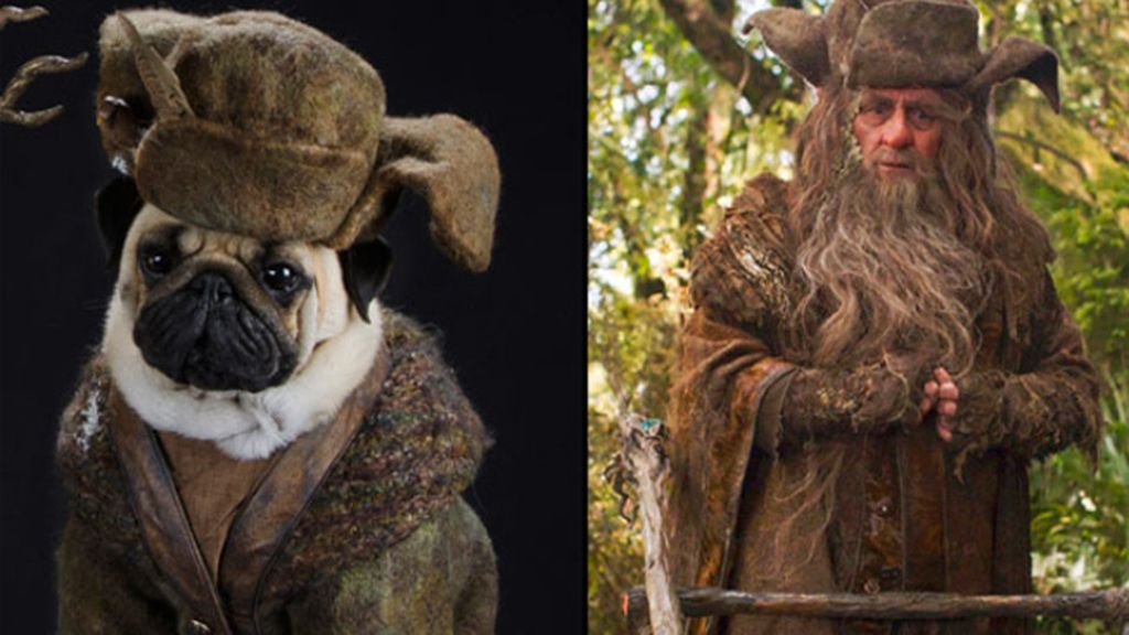 Pugs Carlinos disfrazados
